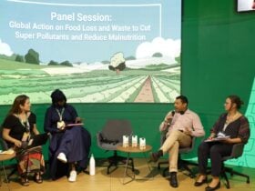 Ações globais para reduzir perdas de alimentos e combater a desnutrição são destaque na AgriZone