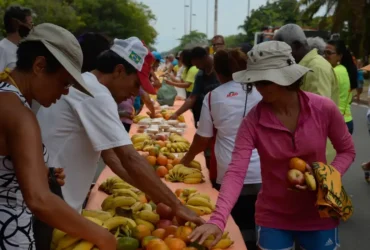 Ação da Cidadania lança Natal sem Fome 2025 para combater insegurança alimentar