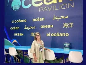 Oceanos podem cortar emissões globais até 2050