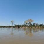 AGU obtém medidas judiciais para a preservação do Pantanal e Mata Atlântica -