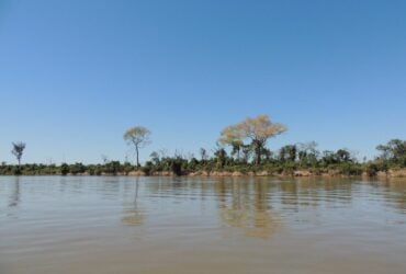 AGU obtém medidas judiciais para a preservação do Pantanal e Mata Atlântica -