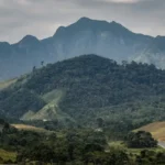 SOS Mata Atlântica mobiliza setor privado para conservar o bioma