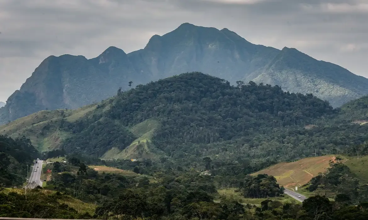 SOS Mata Atlântica mobiliza setor privado para conservar o bioma