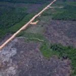 Vias ilegais avançam sobre áreas protegidas na BR-319 na Amazônia
