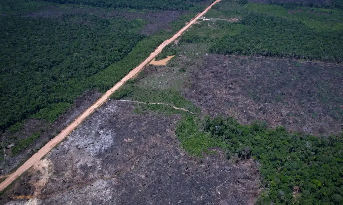Vias ilegais avançam sobre áreas protegidas na BR-319 na Amazônia