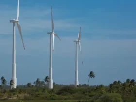 Economia verde deverá gerar novos empregos no Brasil