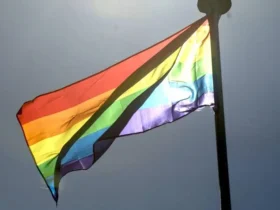 Festival celebra diversidade com filmes e inovação em São Paulo