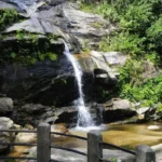 Parque Nacional da Tijuca realiza feira de ciências sobre peixes