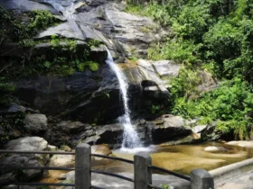 Parque Nacional da Tijuca realiza feira de ciências sobre peixes
