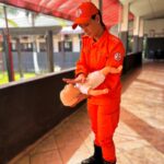 Bombeiros de Mato Grosso divulgam novas regras para manobras de desengasgo