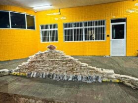 A carga ilícita, que seria levada para Brasília (DF), foi descoberta em compartimento oculto do semirreboque durante abordagem no km 290 da BR-070.