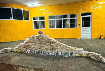 A carga ilícita, que seria levada para Brasília (DF), foi descoberta em compartimento oculto do semirreboque durante abordagem no km 290 da BR-070.