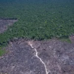 Brasil pode antecipar neutralidade de CO2 para 2040 com dois cenários estratégicos