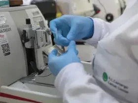 Câncer de próstata cresce 32% entre homens com menos de 50 anos no Brasil