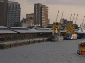 Pf é apontada como essencial no combate a crimes ambientais na Amazônia