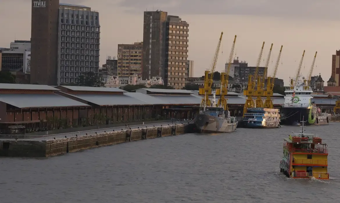 Pf é apontada como essencial no combate a crimes ambientais na Amazônia