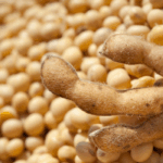 Exportações do agronegócio somam US$ 15,49 bilhões em outubro e registram recorde para o mês