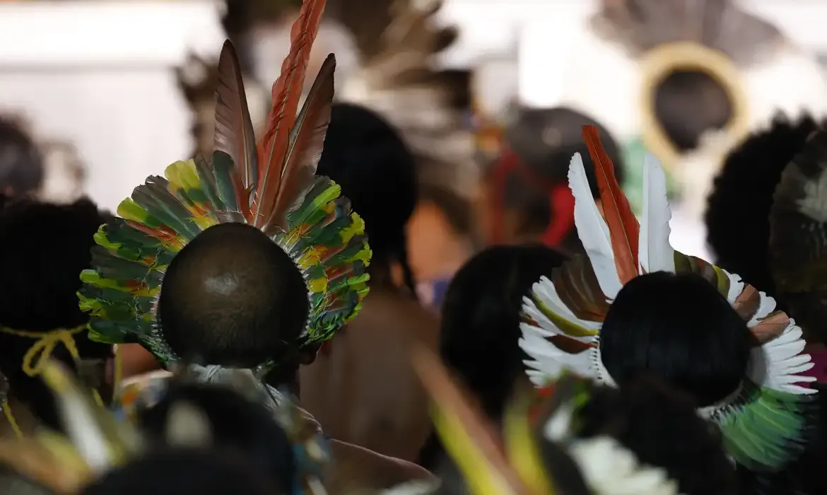 Demarcação de terras fortalece proteção ambiental e direitos indígenas