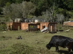 Rejeito expõe violência causada pela mineração em comunidades mineiras