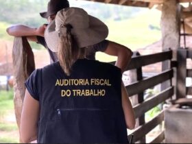 Fiscalização do cumprimento das leis trabalhistas terá reforço com a nomeação de 855 auditores-fiscais - Ministério do Trabalho/Divulgação