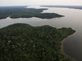 Governo do Brasil anuncia plano para fundo climático de US$ 1 bilhão - Divulgação