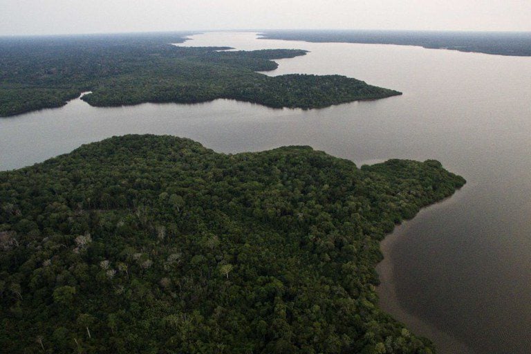 Governo do Brasil anuncia plano para fundo climático de US$ 1 bilhão - Divulgação