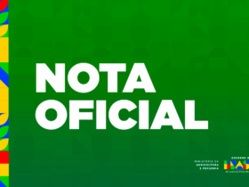 Gripe aviária: China retira suspensão à exportação de carne de aves brasileira