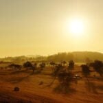 horóscopo de amanha