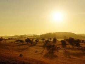 horóscopo de amanha