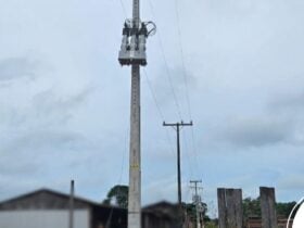 madereira em Brasnorte