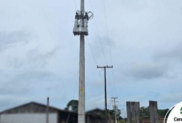 madereira em Brasnorte