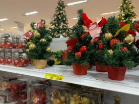 Procon-MT alerta consumidores sobre cuidados nas compras de Natal