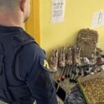 PRF prende dupla de facção criminosa que tentava deixar o Rio com arma e munições - Divulgação