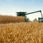 Recursos das Cédulas de Produto Rural crescem 31% entre julho e outubro de 2025