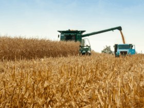 Recursos das Cédulas de Produto Rural crescem 31% entre julho e outubro de 2025