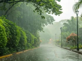 Tapurah tem sábado nublado e máxima de 31°C