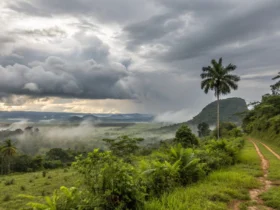 Tapurah tem manhã nublada e temperatura sobe nesta terça-feira