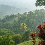 Marcelândia enfrenta calor de até 35°C nesta terça-feira