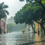 Novo São Joaquim: sexta-feira nublada com chance de chuva