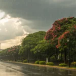 Rondonópolis tem sábado nublado e chance de chuva de 75%