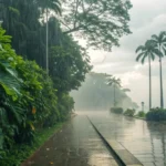Canarana tem terça-feira nublada com chance de chuva de 62%