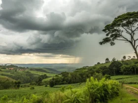 Colniza tem quarta-feira nublada e chance de chuva de 38%