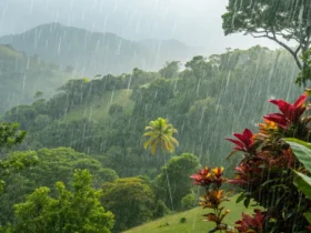 Tangará da Serra tem quinta-feira nublada e 50% de chance de chuva