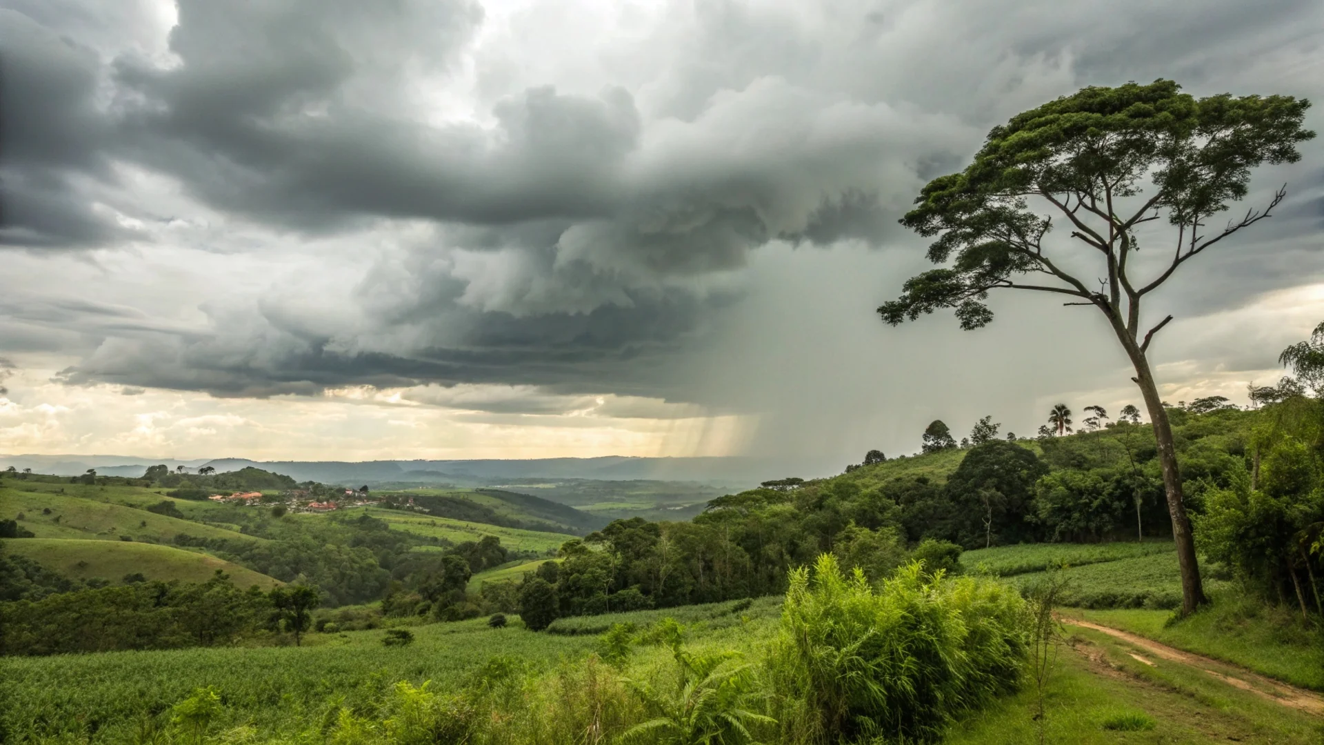 Canarana terá calor de até 38°C nesta segunda-feira